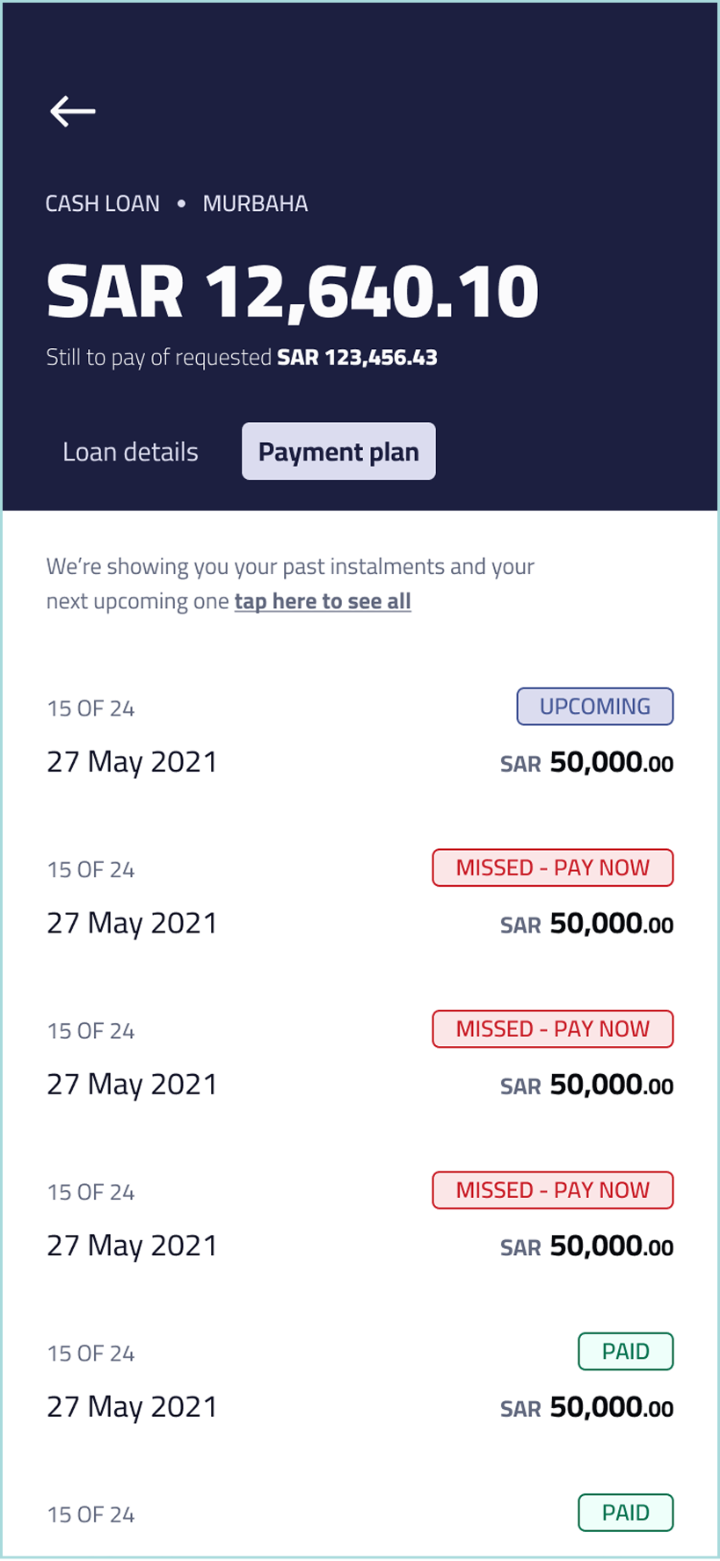 Payment plan · every instalment on one scroll · status pills · EN (LTR)